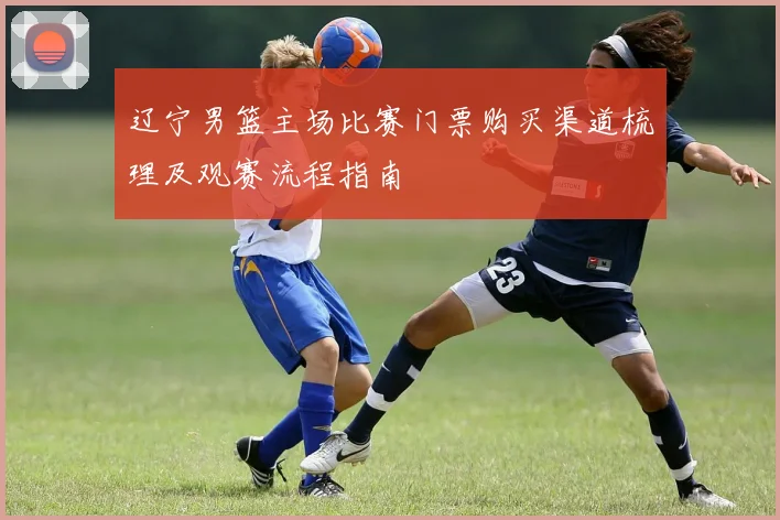 辽宁男篮主场比赛门票购买渠道梳理及观赛流程指南